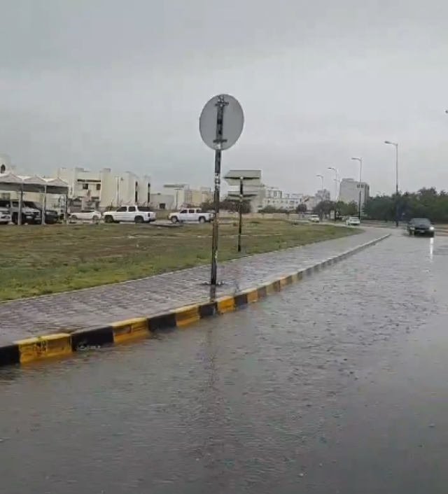 بالفيديو.. خلايا رعدية ماطرة على عدد من المحافظات