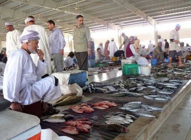 استمرار انخفاض أسعار الأسماك في الأسواق