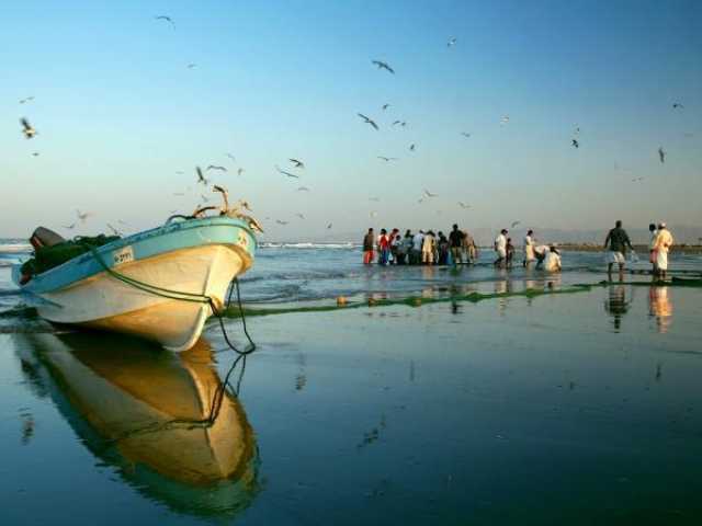 قرى الصيد النموذجية.. إسهام وطني في تعزيز القطاع السمكي وتوفير فرص العمل