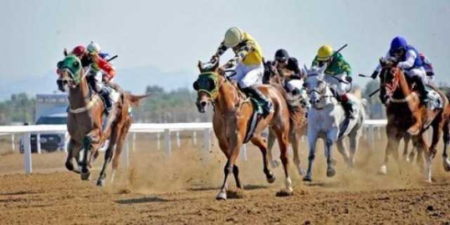 اليوم.. انطلاق فعاليات سباق الخيل السنوي في عبري