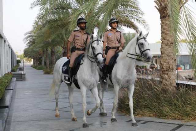 العقيد طبيب خالد الرزيقي: دور فاعل لقيادة شرطة الخيالة في المنظومة الأمنية المتكاملة لشرطة عُمان السلطانية