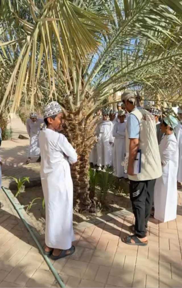 برامج توعوية لمكافحة 'سوسة النخيل الحمراء' في عبري