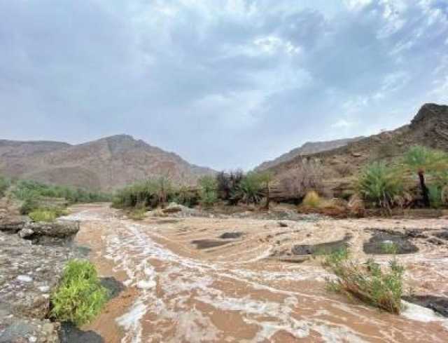 اليوم.. أمطار رعدية متفاوتة الغزارة على بعض المناطق