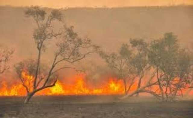 حرائق الغابات تدمر عددا من المنازل في أستراليا.. ومخاوف بشأن الطقس