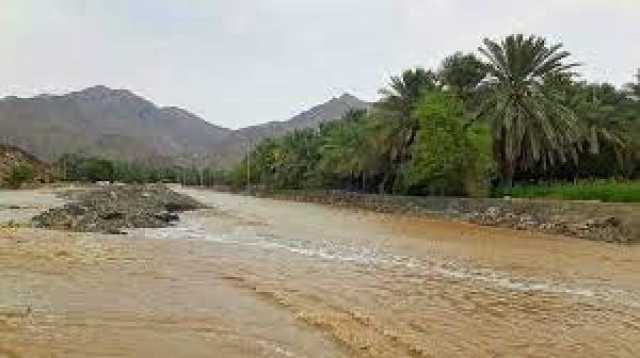 عواصف رعدية حادة.. خبير أرصاد يكشف توقعات الطقس الجمعة والسبت