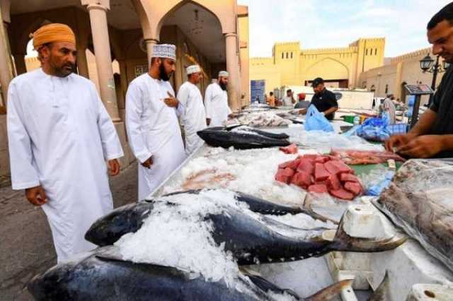 إنزال كميات من الأسماك في الداخلية وجنوب الباطنة