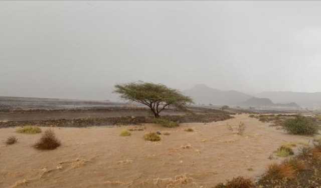 بالفيديو.. هطول أمطار رعدية على البريمي والظاهرة.. عاجل