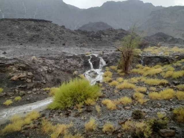 اليوم.. استمرار هطول الأمطار على جبال الحجر