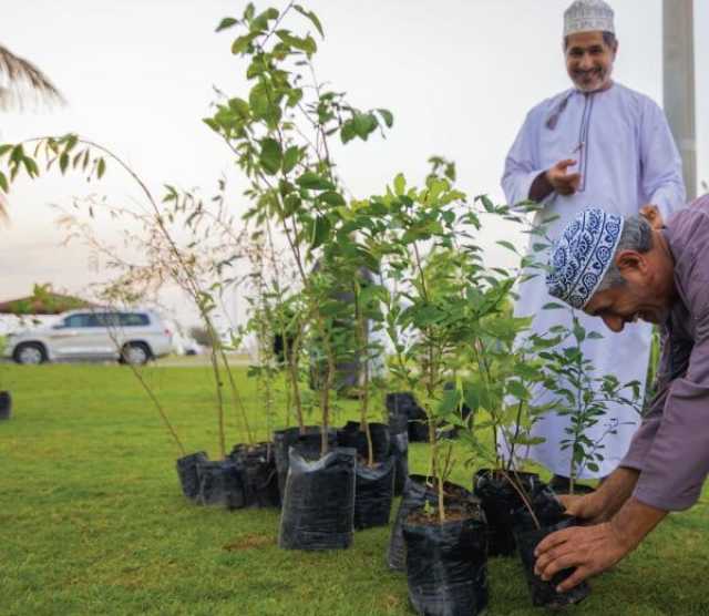 'بلدية مسقط' توزع 1000 شتلة نباتات ضمن 'شجّر بيتك'