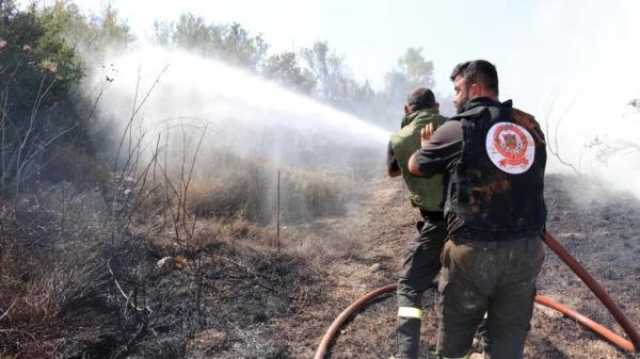 جيش الاحتلال يتسبب في تدمير 40 ألف شجرة زيتون بجنوب لبنان