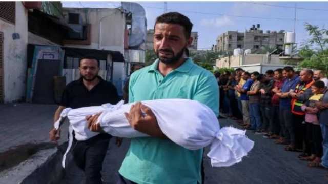 مدير صحة غزة ينعى ابن أخته وينقل لوالده خبر استشهاده على الهواء مباشرة (فيديو)