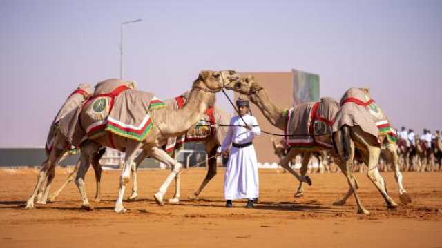 إدراج الهجانة السلطانية في قائمة التراث الثقافي غير المادي