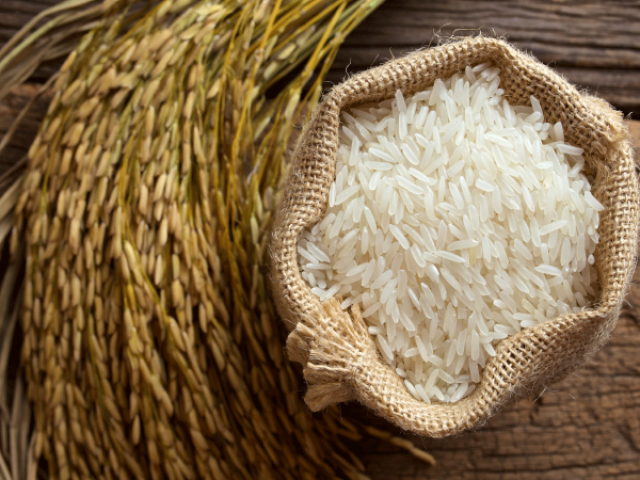 أزمة غذاء عالمية تلوح بالأفق .. الهند تفرض مزيدا من القيود على صادرات الأرز