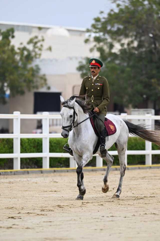 تتويج 'الشرطة' و'الحرس' في ختام منافسات 'أدب الخيل'