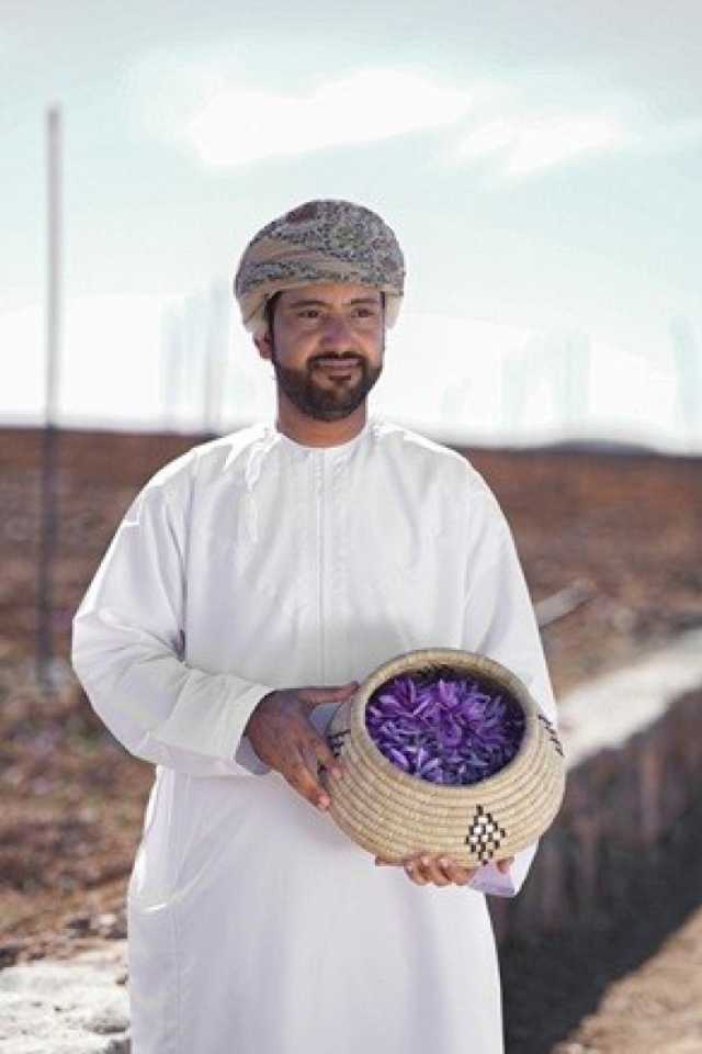 مشروع لإنتاج محصول الزعفران في الجبل الأخضر