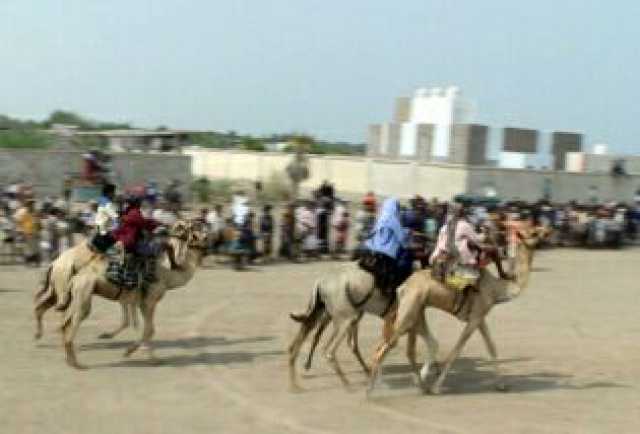 الحديدة.. مهرجان تراثي وشعبي لمزارعي النخيل في منطقة الجاح ببيت الفقية