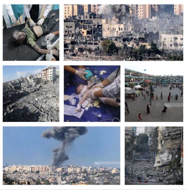 ارتفاع عدد الشهداء في غزة والضفة إلى 7814 شهيدا