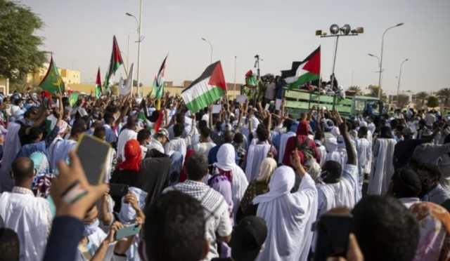 الأحزاب الجزائرية تدعو إلى مسيرات واسعة صباح الخميس نصرةً لفلسطين