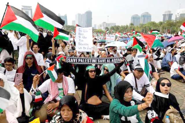أحرار العالم يواصلون تضامنهم مع فلسطين بتظاهرات احتجاجية واسعة