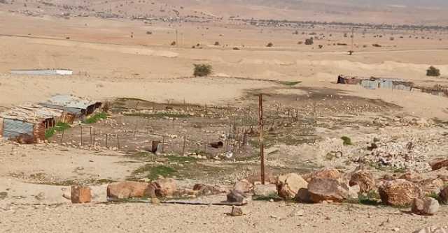 مستوطنون متطرفون يعتدون على أراض في عرب المليحات غرب أريحا