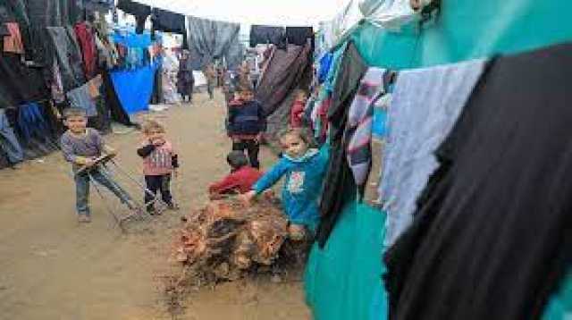 الصحة العالمية: أطفال يموتون جوعا في مستشفيين في شمال غزة