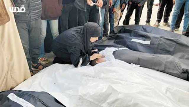14 شهيداً فلسطينياً ضحايا المجزرة التي ارتكبها العدو في مخيم نور الشمس