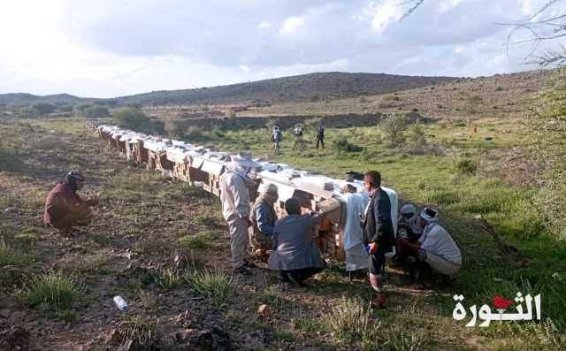 تدشين مشروع توزيع خلايا نحل بمحافظة البيضاء 