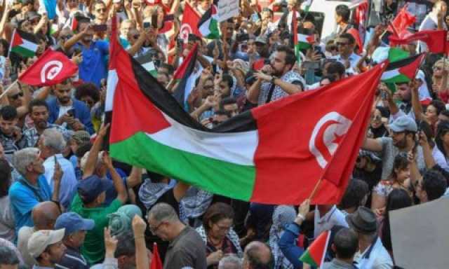 عشرات التونسيين يتظاهرون احتجاجا على جرائم الإبادة بغزة