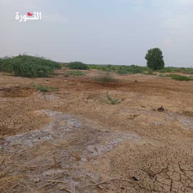 شهيد بانفجار جسم من مخلفات العدوان في الحديدة