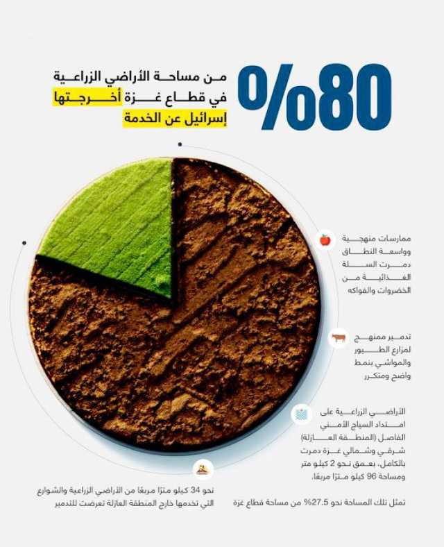 غزة تحت الحرب.. انهيار الإنتاج الغذائي والجوع سلاح الاحتلال لإخضاع السكان