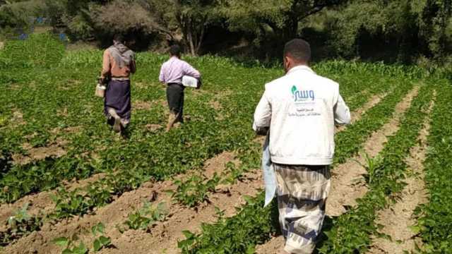 مناقشة جوانب تعزيز النشاط الزراعي في ماوية