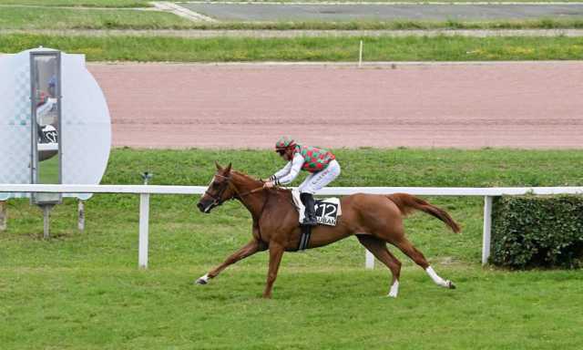 مهرجان منصور بن زايد.. 7 خيول تتنافس على اللقب اليوم بفرنسا