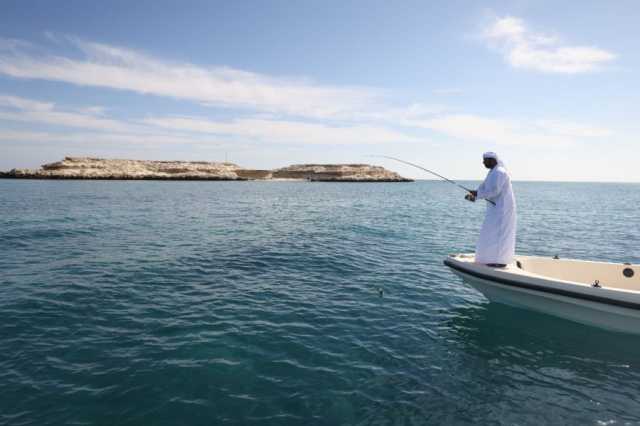 برعاية حمدان بن زايد.. انطلاق فعاليات مهرجان سباق دلما التاريخي