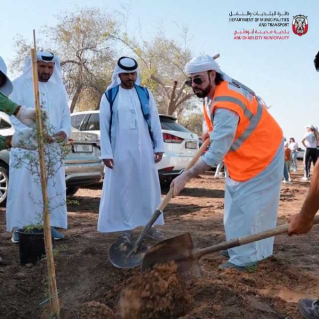 بلدية مدينة أبوظبي تنجز زراعة 3000 شتلة “غاف”