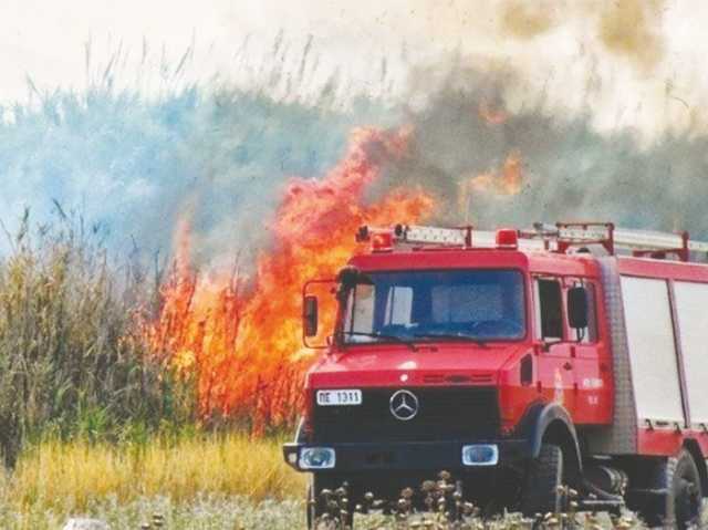 السيطرة على حريق كبير في غابات جزيرة كريت اليونانية