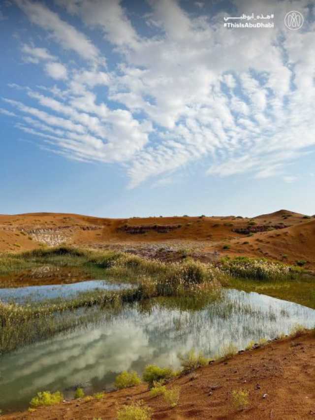 #هذه_أبوظبي.. منطقة المطار، العين بعدسة عبيد بن سيف الظاهري