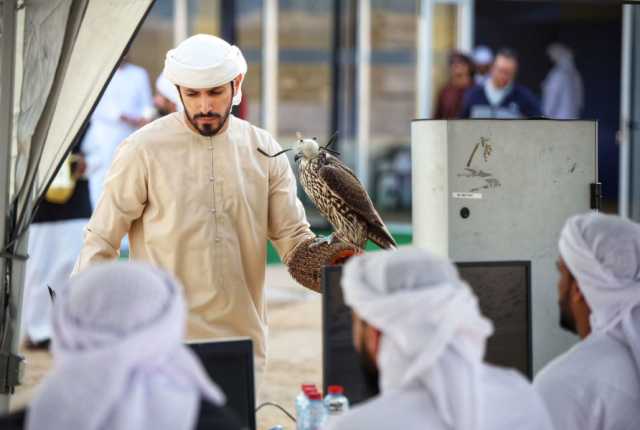 “كأس محمد بن راشد لسباقات الصقور” يتوج أبطال “العامة مفتوح “.. وترقب لانطلاقة “الشيوخ”