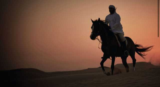 هيئة الرعاية الأسرية واتحاد الإمارات للفروسية والسباق يتعاونان لتقديم خدمة العلاج بالخيول في أبوظبي