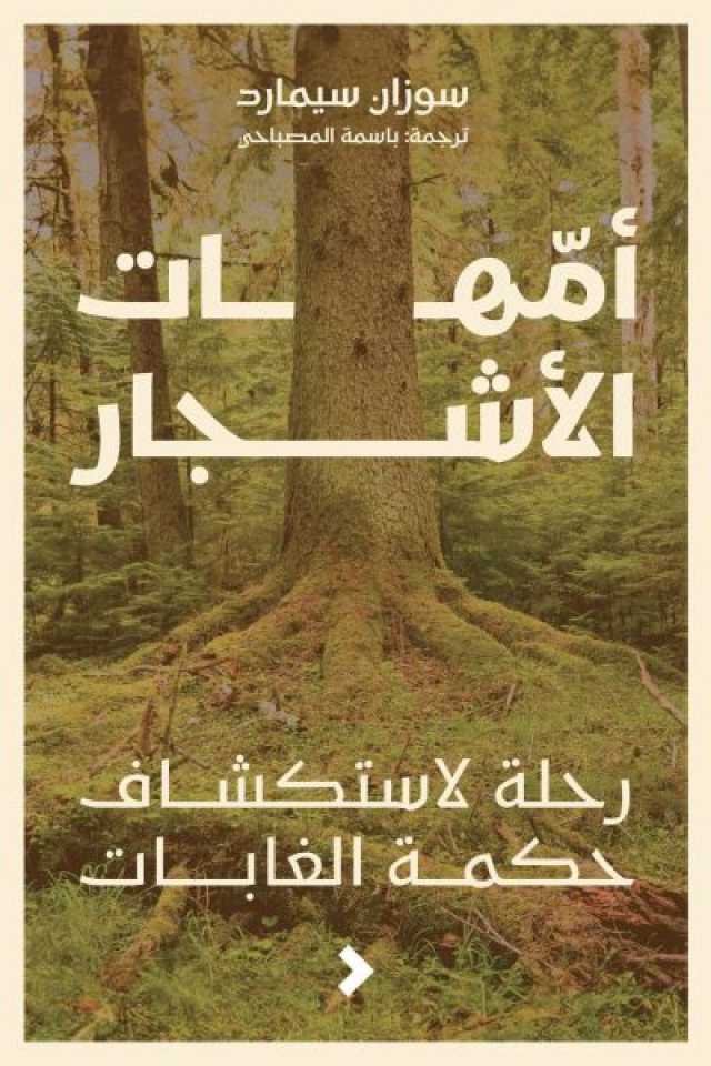 “أمهات الأشجار”.. جديد “مجموعة كلمات” ودعوة لتأمل جمال وتعقيد الطبيعة