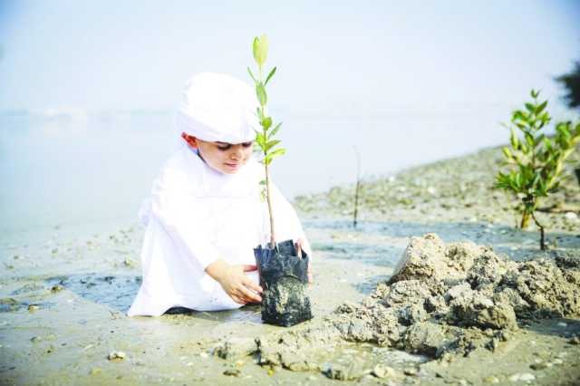 البرنامج الوطني “ازرع الإمارات” يشجع أفراد المجتمع على زيادة الرقعة الخضراء