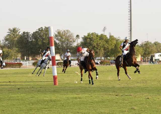 مهرجان بينك بولو الرياضي الخيري يقام 9 نوفمبر