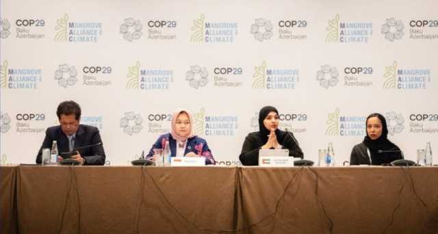 COP29 .. الإمارات تكشف عن استراتيجية 2031 لتحالف القرم من أجل المناخ