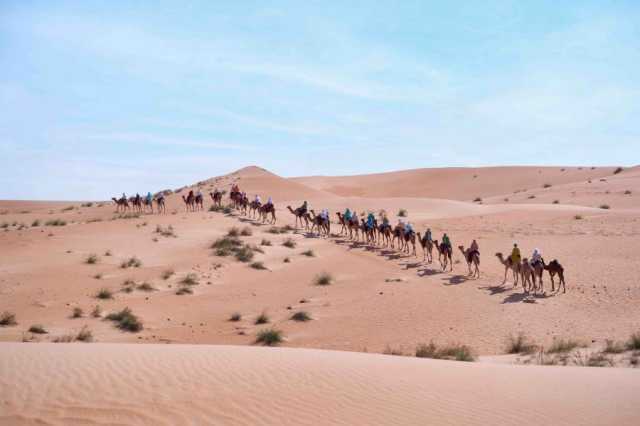 رحلة الهجن الـ11 تقترب من خط النهاية في القرية العالمية