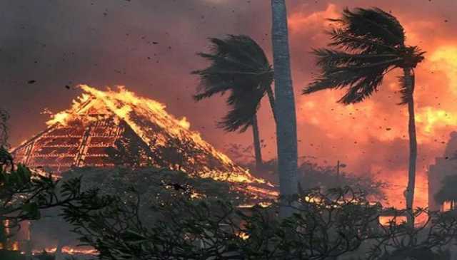 ارتفاع حصيلة ضحايا حرائق الغابات في هاواي إلى 89