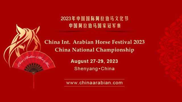 مهرجان الصين الدولي للخيول العربية ينطلق أواخر أغسطس بمشاركة إماراتية