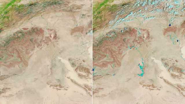 الأمطار الغزيرة تزيد نسبة الغطاء النباتي في الصحراء الكبرى