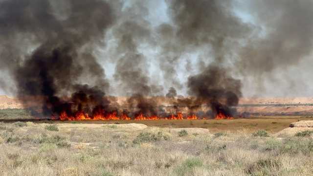 مكافحة الارهاب يعتقل 3 إرهابيين وينفذ إنزالا جويا في مناطق متفرقة من العراق