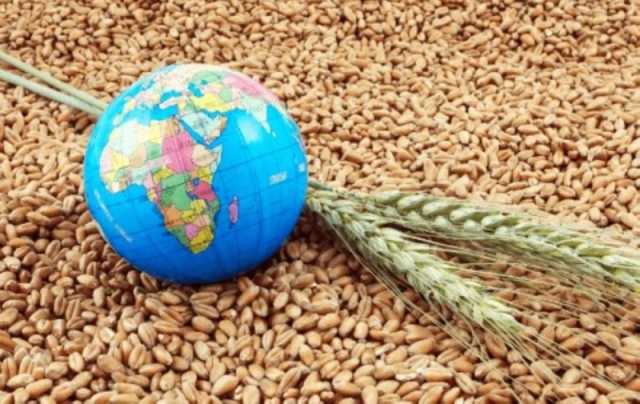 سدس الإمدادات الغذائية في العالم عرضة للخطر.. اعرف الأسباب