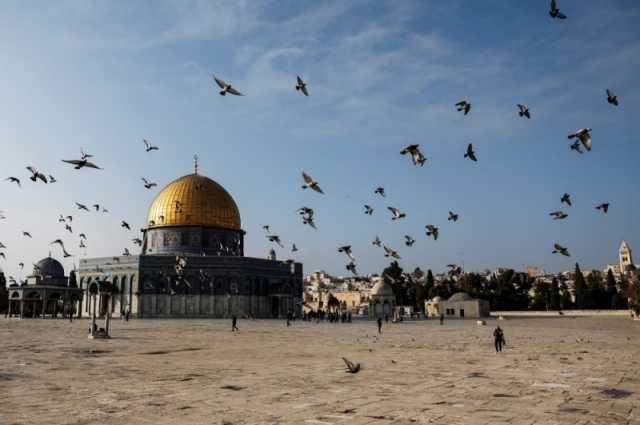 بعد تصديق الحكومة.. إيرلندا تعترف رسميًا بالدولة الفلسطينية