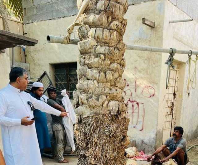 الأحساء.. الجولات الرقابية تضبط العديد من المخالفات في المطابخ والأحواش